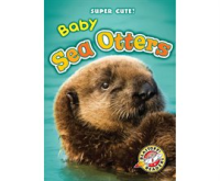 Baby_Sea_Otters
